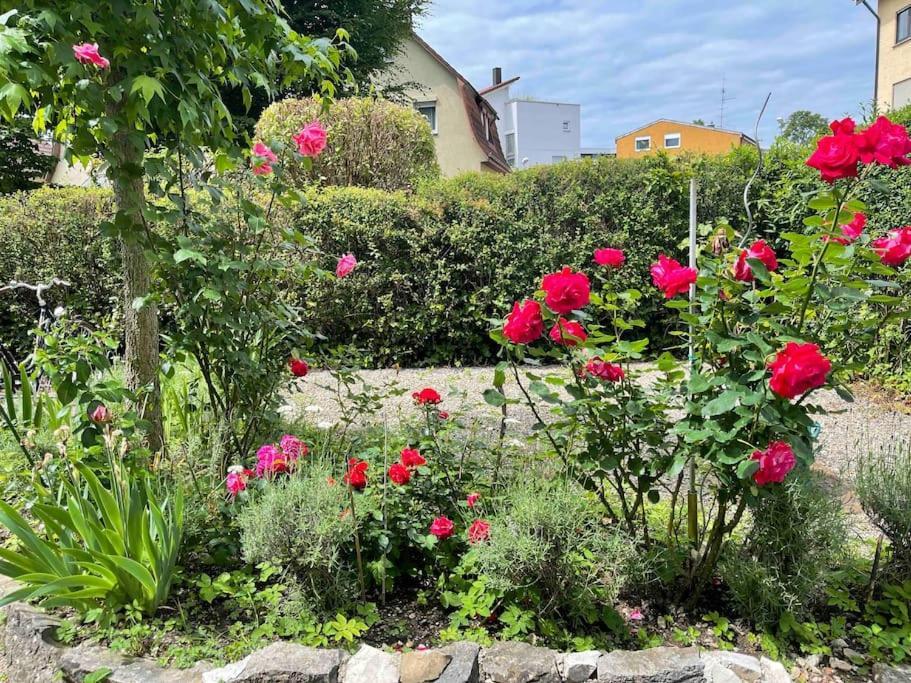 Fewo Apartment Lake Of Constance FDH Εξωτερικό φωτογραφία